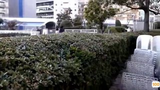 二零二三七月四号_小小丫丫丫_1